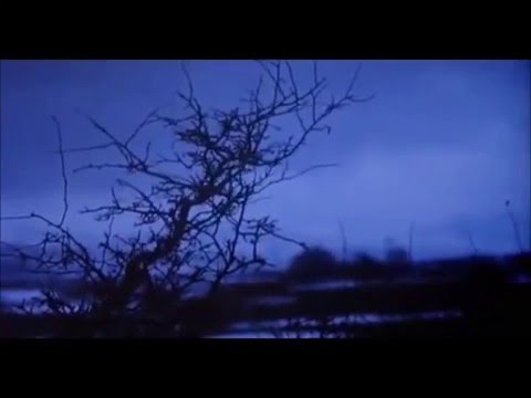 Foehn — Foehn - We Fell