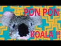 Ponpon Koala Yapımı / Pom Pom Koala Pom Pom Animal DIY Projects