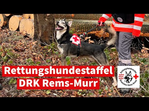 DRK-Rettungshundestaffel Kernen