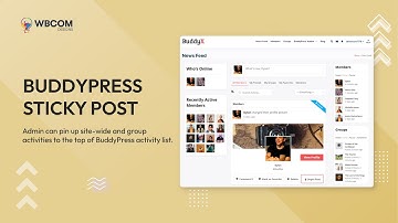 BuddyPress Sticky Post plugin 2024 - BuddyBoss platform Compatible