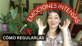 Abrumado y con emociones intensas: La Desregulación Emocional I Qué es y cómo manejarlas