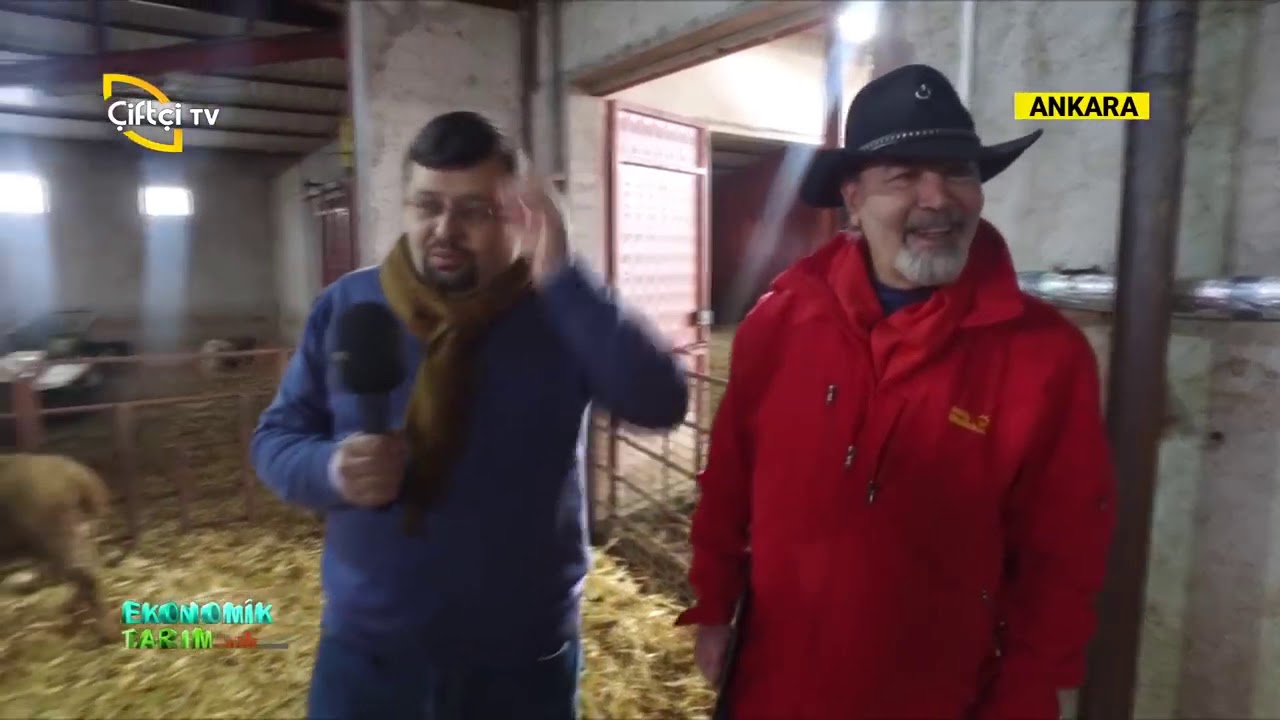 KÜÇÜKBAŞ HAYVANCILIKTA DOĞRU BESLEME VE YEMLEMENİN ÖNEMİ