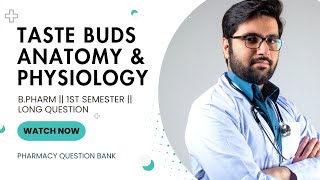 Outline the anatomy and physiology of taste buds #B.pharm #Aktuexam #human_anatomy_and_physiology