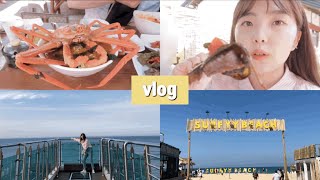 VLOG)강원도 속초, 양양 여행.ep01/아바이순대마을,중앙시장,서피비치,하조대,스카이워크 | ᴍɪɴsᴇᴏʟ