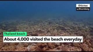 Thai Beach Made Famous in DiCaprio Film Closes to Tourists screenshot 4