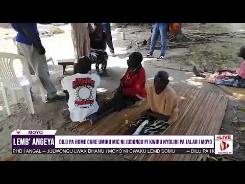 LEMB ANGEYA 31st December 2024