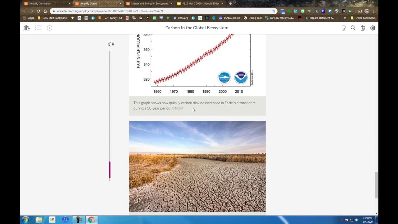 Matter and Energy in Ecosystems Lesson 3.1 Review - YouTube