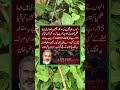 #pti #imrankhan #imrankhanpti #shorts #ytshorts #shortsfeed #news #flood #cricket #psl #ipl #yt