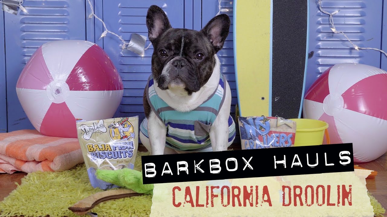 California Droolin' Bark Box Haul with Frank