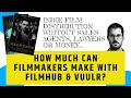 Easy lowbudget film distribution options filmhub x vuulr  one year data breakdown