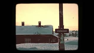 Selflore - Terraria Visualizer