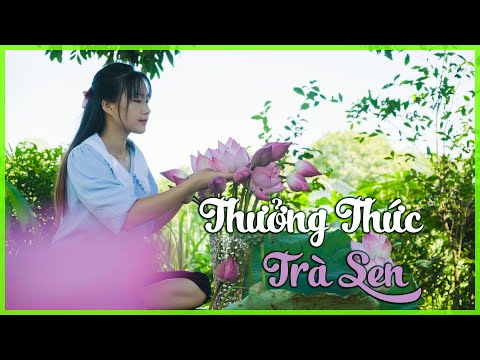 Video Níu Giữ Hương Mùa Hạ Với Những Bình Hoa Sen Đẹp Dịu... - youtube