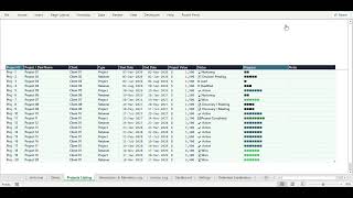 (Walkthrough) CRM Customer Relationship Manager - The Excel Executive