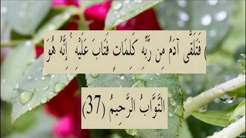 القران الكريم سورة البقرة الاية 37