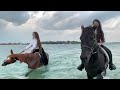 Horse beach riding and swimming | Abu Dhabi | +971502928456