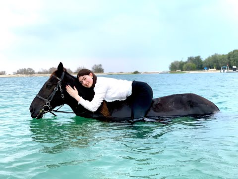 Horse beach riding and swimming | Abu Dhabi | +971502928456