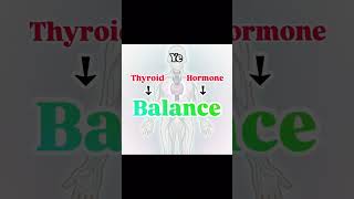 Day 20/30: Levothyroxine 🦋 The thyroid hormone you take on an empty stomach! #Levothyroxine #Thyroid
