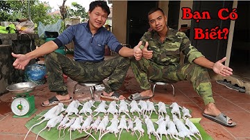 Hướng Dẫn Thịt Chuột Đúng Cách Đơn Giản Hiệu Quả - Xem Xong Ai Cũng Làm Được