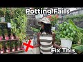 5 Mistakes To Avoid with Pots/Containers