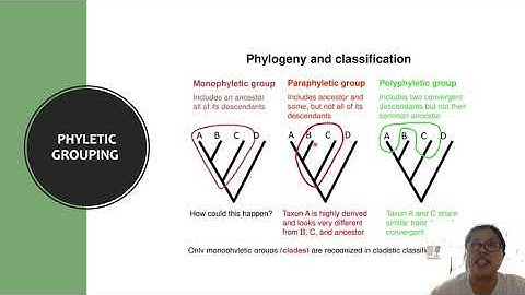 Topic 1  Phylogenies and Evolutionary Relationships part 2