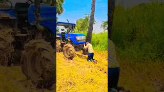 Jodi Kono Bhool Hoye thake khoma Kore Dio go Amar 🙏 #viral #farming #ekmotahathighumechala #farming