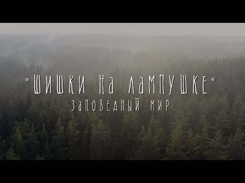 Весна в заповедном
