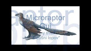 Dino Profile - Microraptor Gui (Ep. 3.)