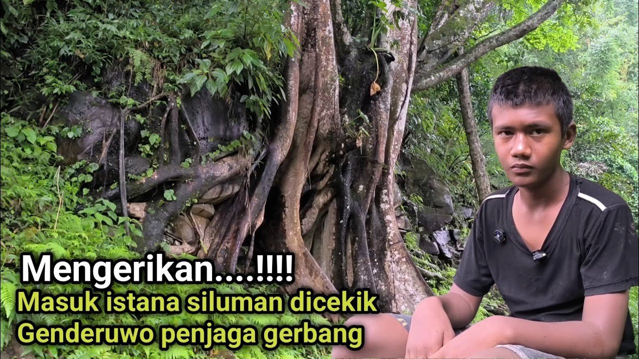 Mengerikan !! Kisah Fajar indigo  memasuki istana siluman di dalam hutan angker di cekik genderuwo