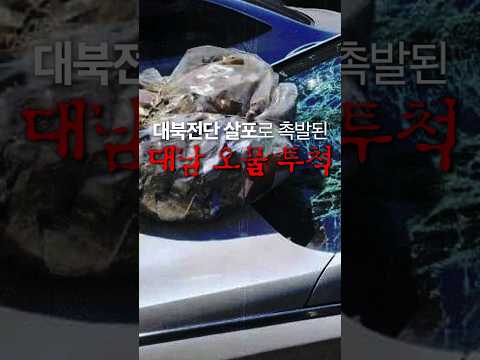오물풍선에 확성기로 <strong>대응</strong>? 이게 <strong>맞아</strong>? #대남오물투척