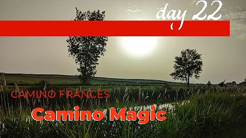 Day 22: Boadilla Del Camino to Carrin de los Conde...
