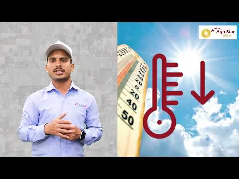 पाला क्या है और इससे अपने फसलों  को कैसे बचाएं - पाला क्या है और इससे अपने फसलों  को कैसे बचाएं