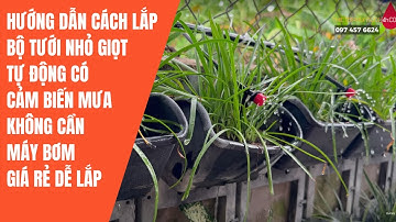 Hướng dẫn chi tiết cách lắp bộ tưới nhỏ giọt tự động cho chậu cây vườn cây không cần máy bơm GIÁ RẺ