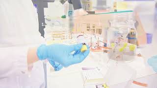 Xamk EnviTox – 5/6 Introduction to the Aliivibrio fischeri toxicity test