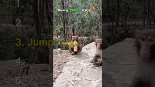 Part 1 of Ranking the TOP 5 FUNNIEST Animal Fails  #fails  #ranking #animals