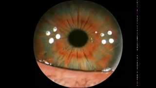 Pink Floyd - Eclipse (Screen Film 1994).avi