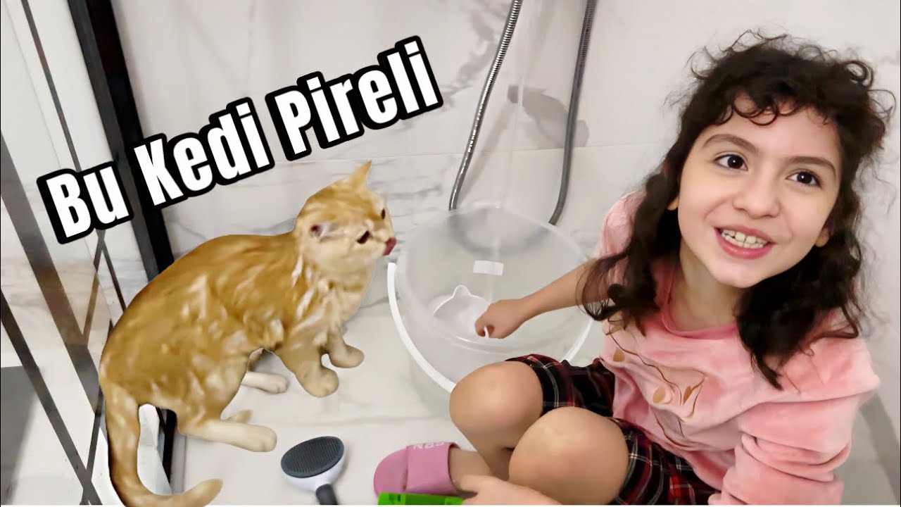 KEDİMİZ PİRELENDİ!! KEDİMİZİ YIKADIK!! ESMANUR YALNIZ BAŞINA KEDİYE BANYO YAPTIRDI 😳