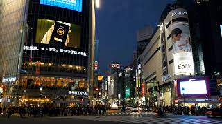 Timelapse crowd people at shibuya crosswalk in tokyo japan