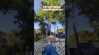 #turkey #nature #forest #cute #comedy #istanbul #komik #komedi  #huzur #karavan #camping #caravan