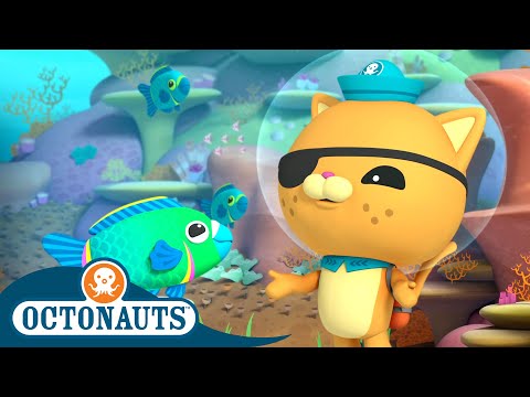 @Octonauts - The
