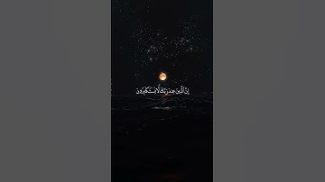 تلاوة هادئة من القرآن الكريم #القرآن_الكريم #ماهر_المعيقلي
