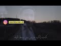 عادل إمام عن الأم    عادل امام نجومي