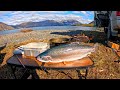 Dumplings from scratch by the campfire + catch and cook Japanese sweet n sour