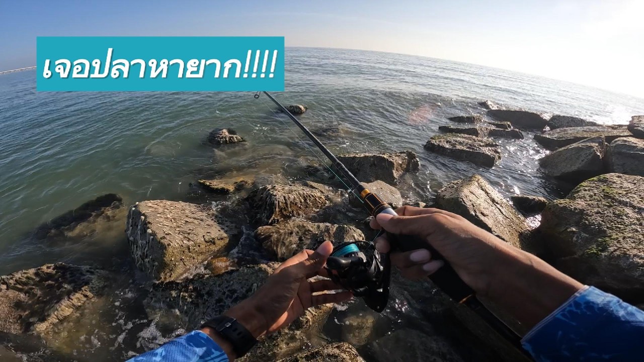 วันนี้เจอปลาหายาก.......ใครเจอไอ่2ตัวนี้ ฝากถามชื่อมันที🤣🤣