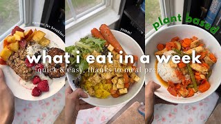 ?✨ Plant Based What I eat in a week ✨ *realistic*  & easy  thanks to Meal Prep ?