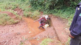 Where We Get Our FRESH And Clean Water From:OUR HUMBLE STREAM