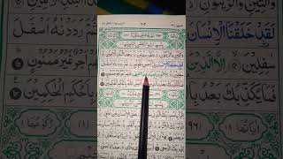 🌿 Surah At-Tin (وَالتِّينِ وَالزَّيْتُونِ) 🍇 | Beautiful Quran Recitation ✨ #surahattin #shorts