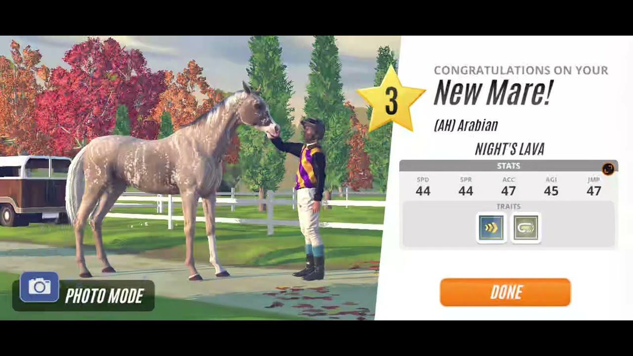 Arabian horse tiger pattern🐯🐯🐯🐯🐯