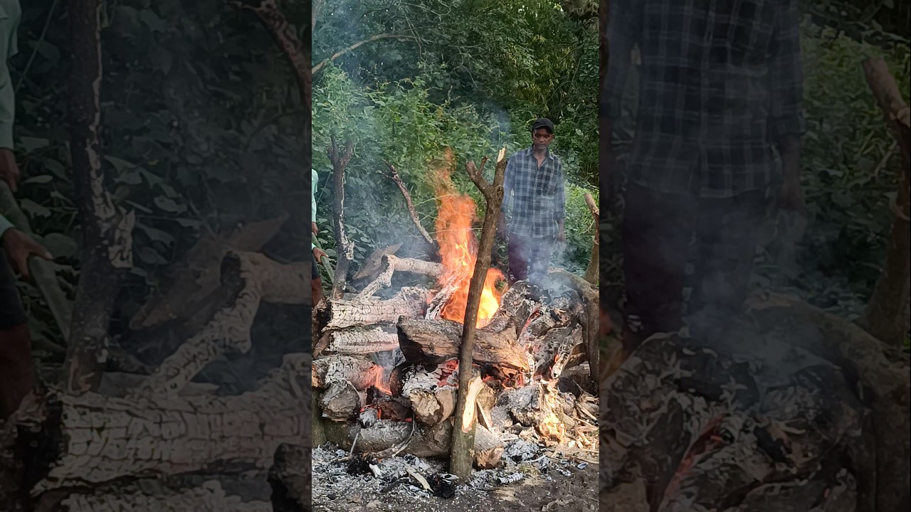 जग में क्या है रे // मुर्ख बंदे तेरा 