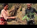 Jungle man is making bamboo Tin & his wife collecting ropes to make money