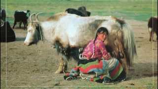 Download Lagu Music for Relaxation: Devi´s Ambient Kiss - Simple Life 08 (Tibet) MP3